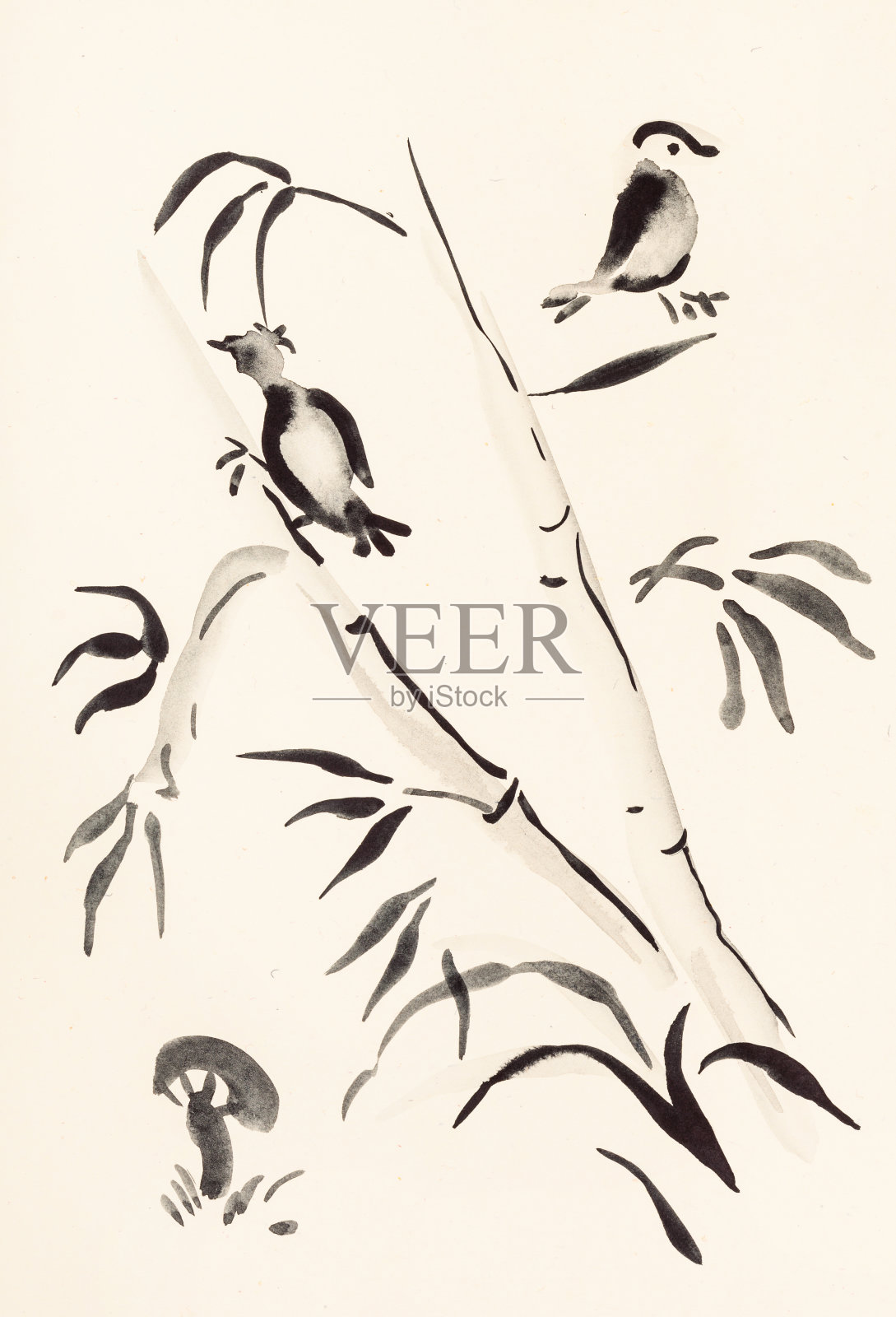 鸟在竹子上，蘑菇在象牙上插画图片素材