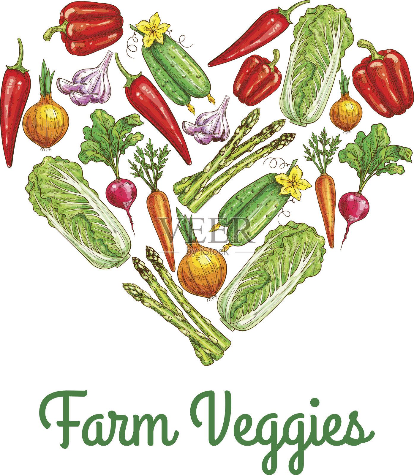 心组成的蔬菜素描海报插画图片素材