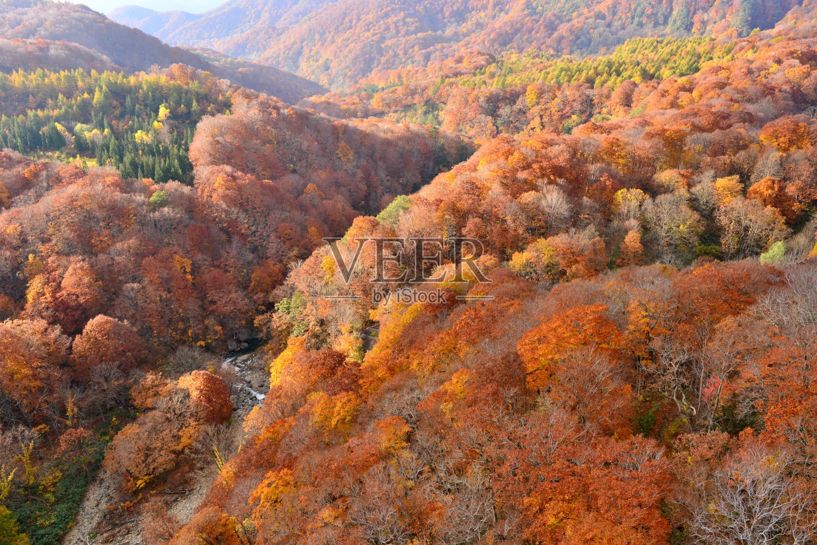 日本青森Jogakura峡谷的夏秋照片摄影图片