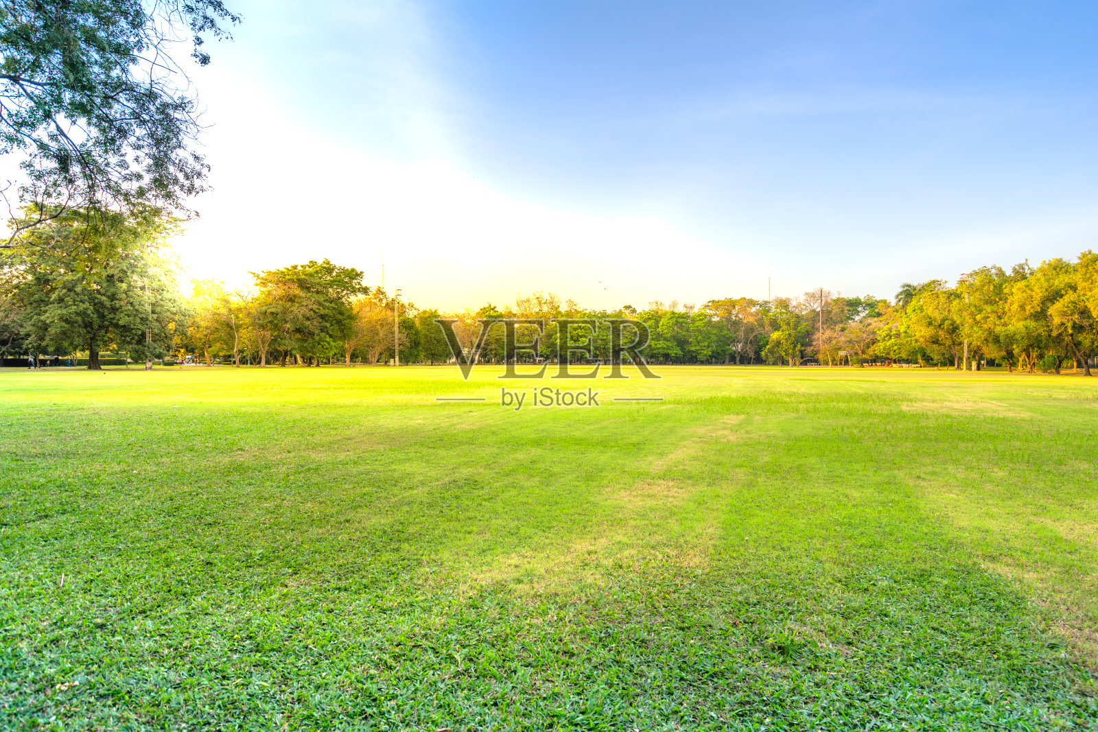 景观采用草地和绿色环境的公共公园作为自然背景、背景照片摄影图片
