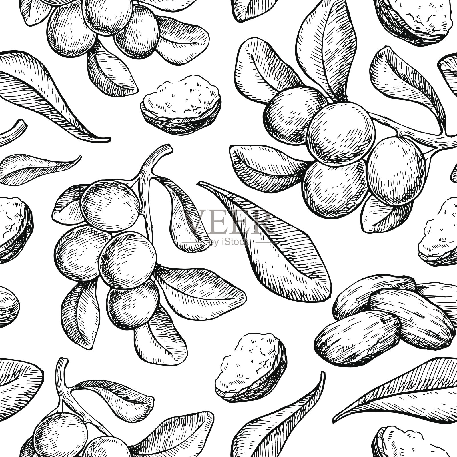 牛油树矢量无缝图形绘制。孤立的葡萄背景与浆果，坚果，树枝。插画图片素材
