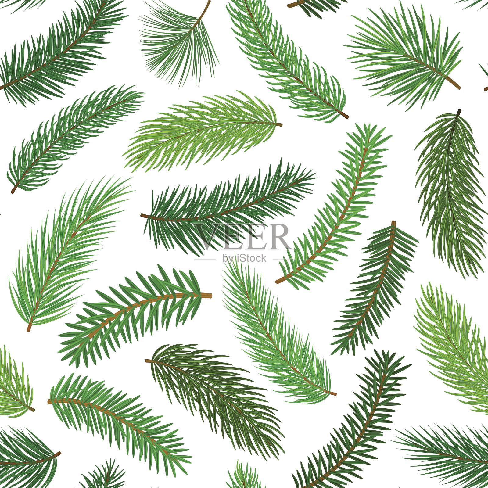 针叶常绿松树杉木杉木针枝细枝无缝格局插画图片素材