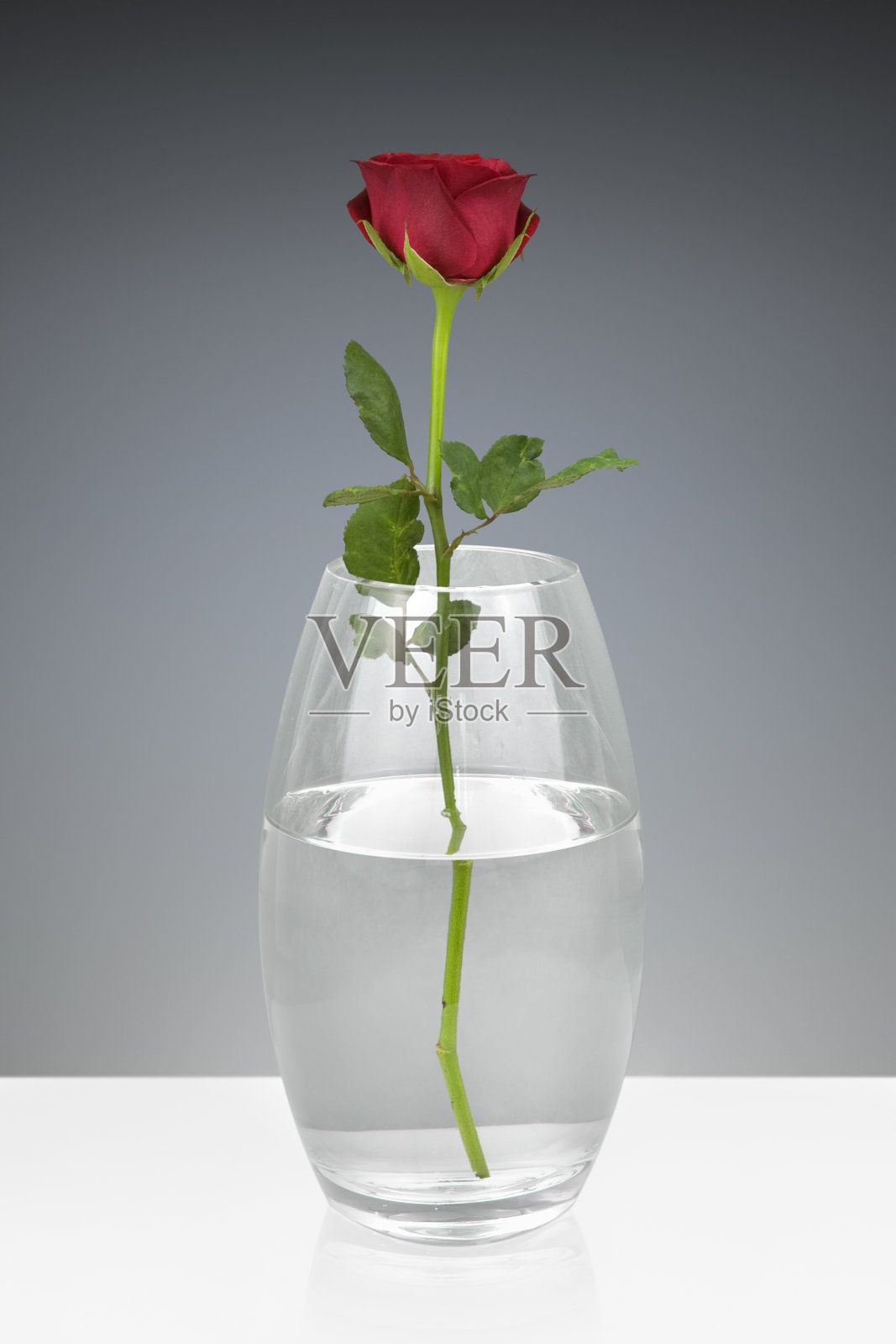 单朵红玫瑰插在玻璃花瓶里照片摄影图片