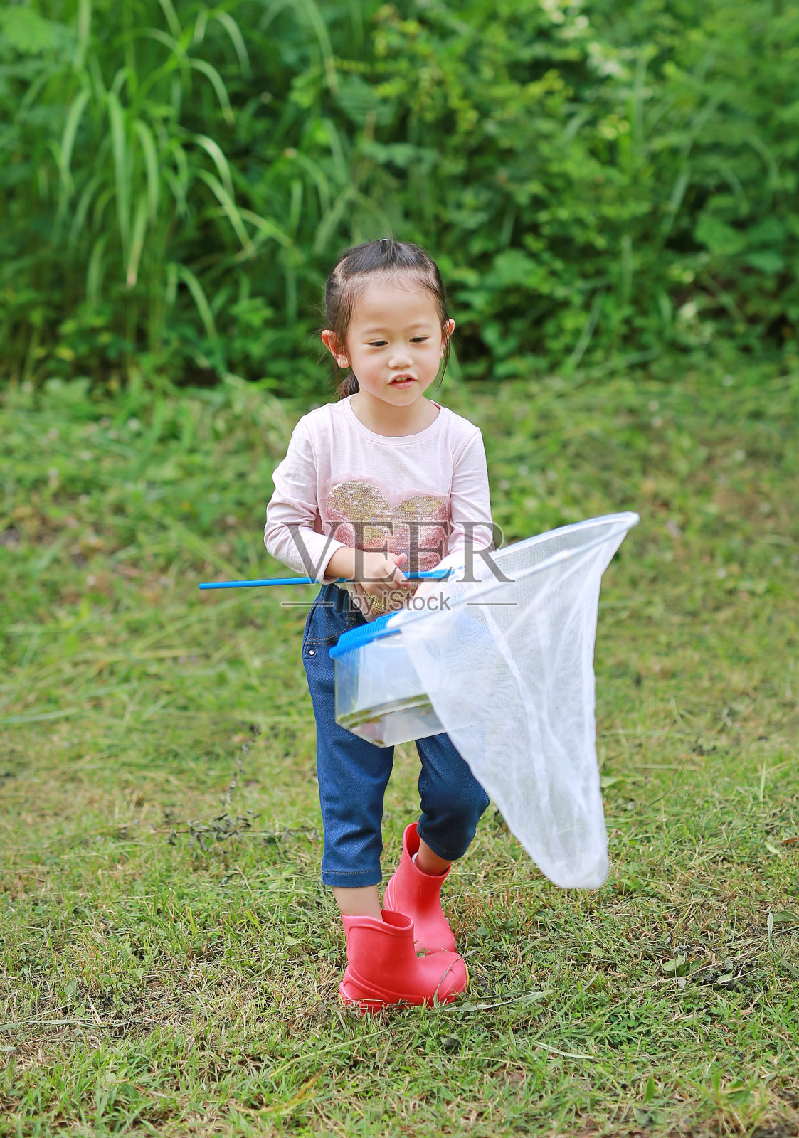 可爱的亚洲小女孩在田野与昆虫网在夏天。照片摄影图片