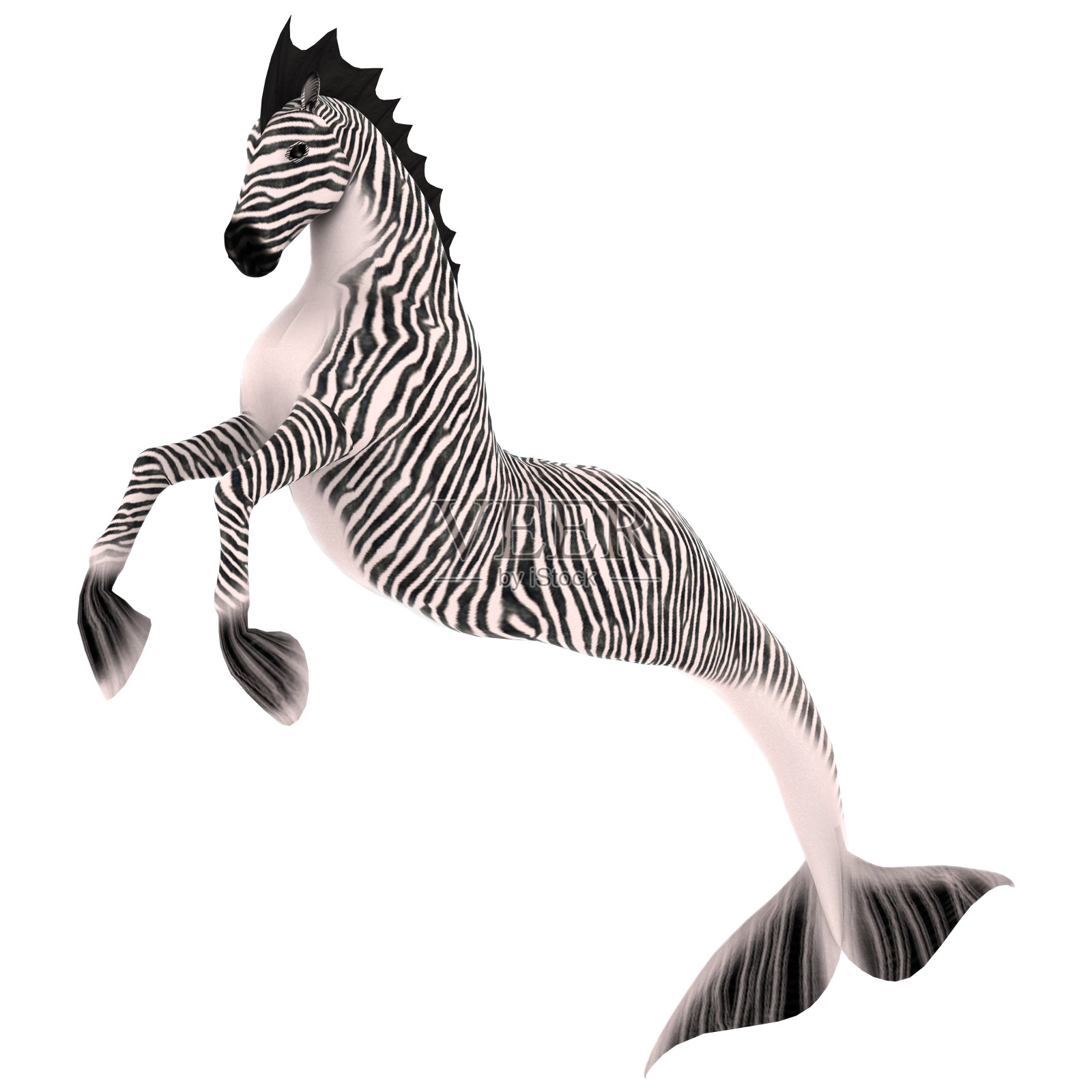 3D渲染海马体或美人鱼的马在白色照片摄影图片