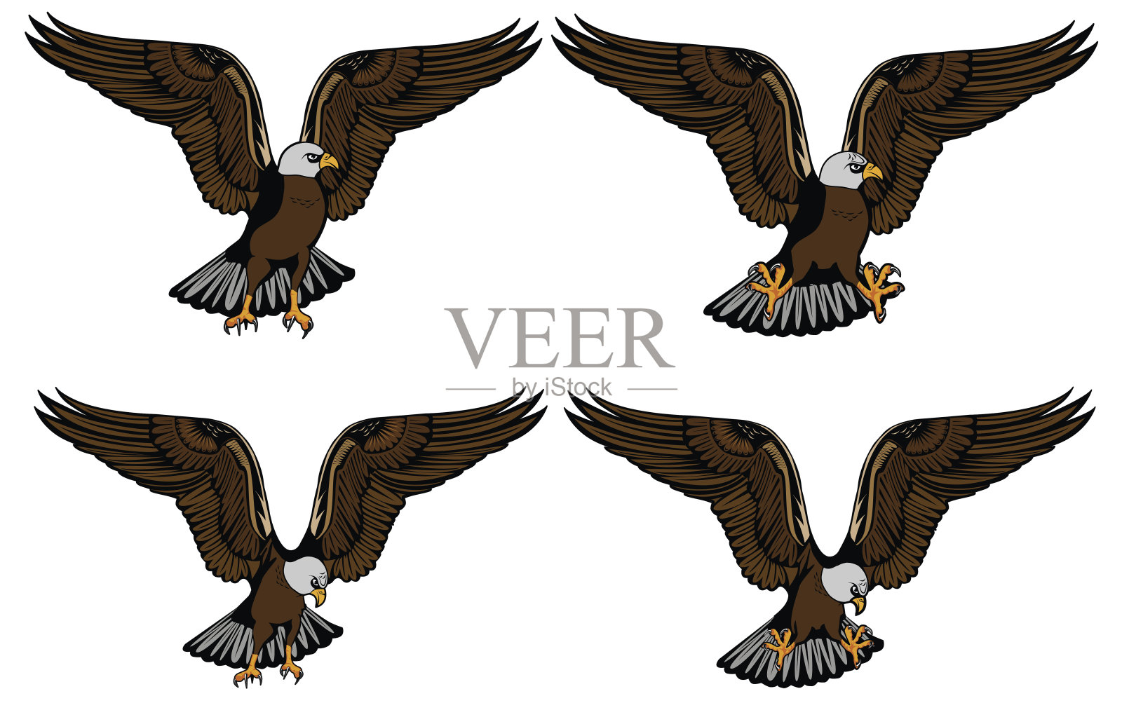 您的打印设计和互联网上的鹰的爪子和头的不同安排的图像。矢量插图。设计元素图片