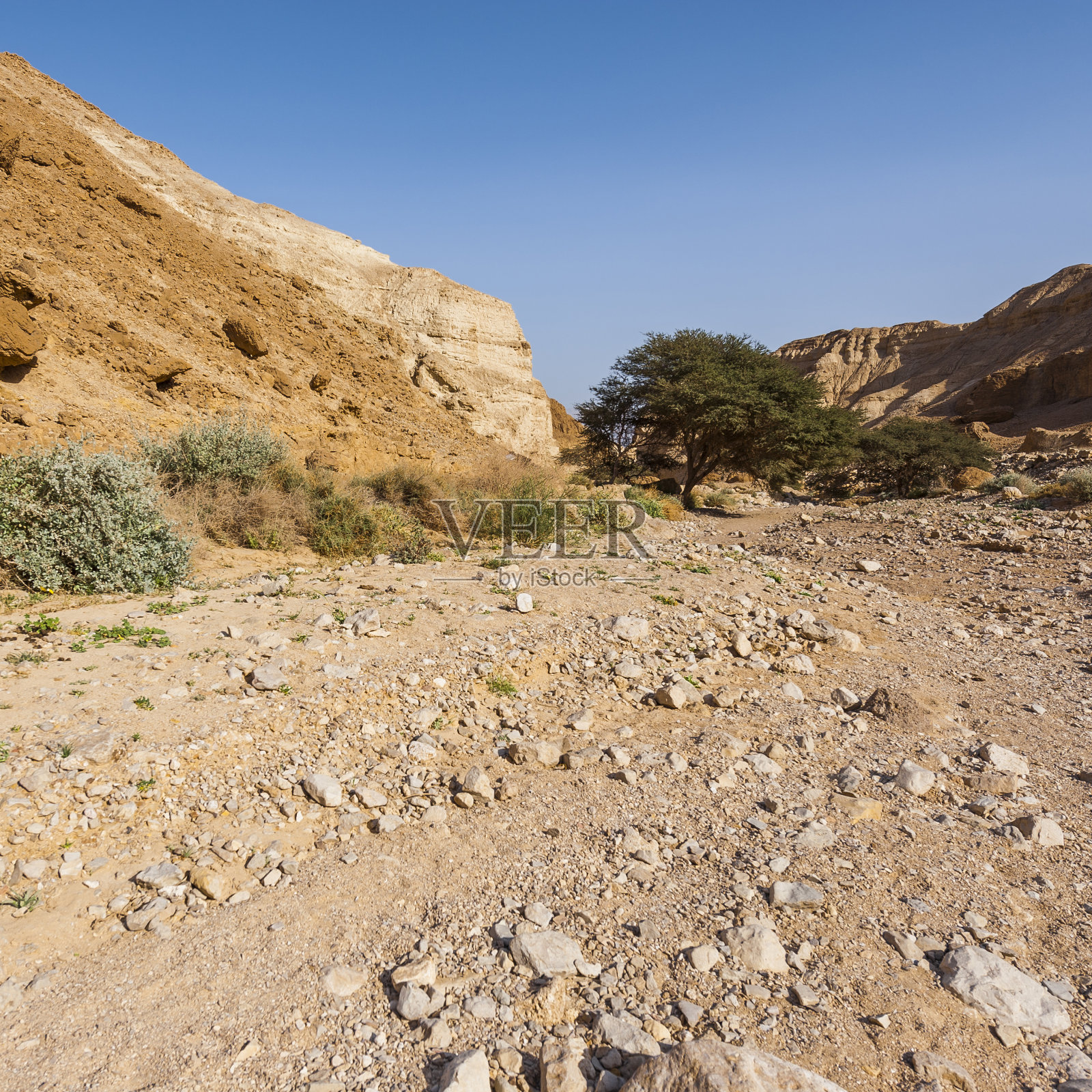 以色列的石漠照片摄影图片