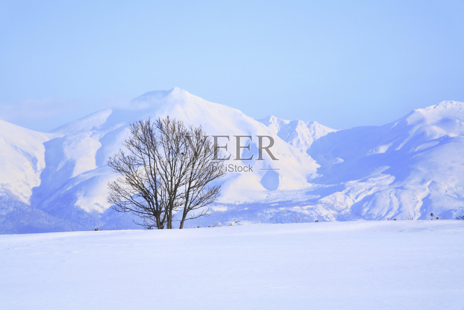 雪树和十胜山脉照片摄影图片