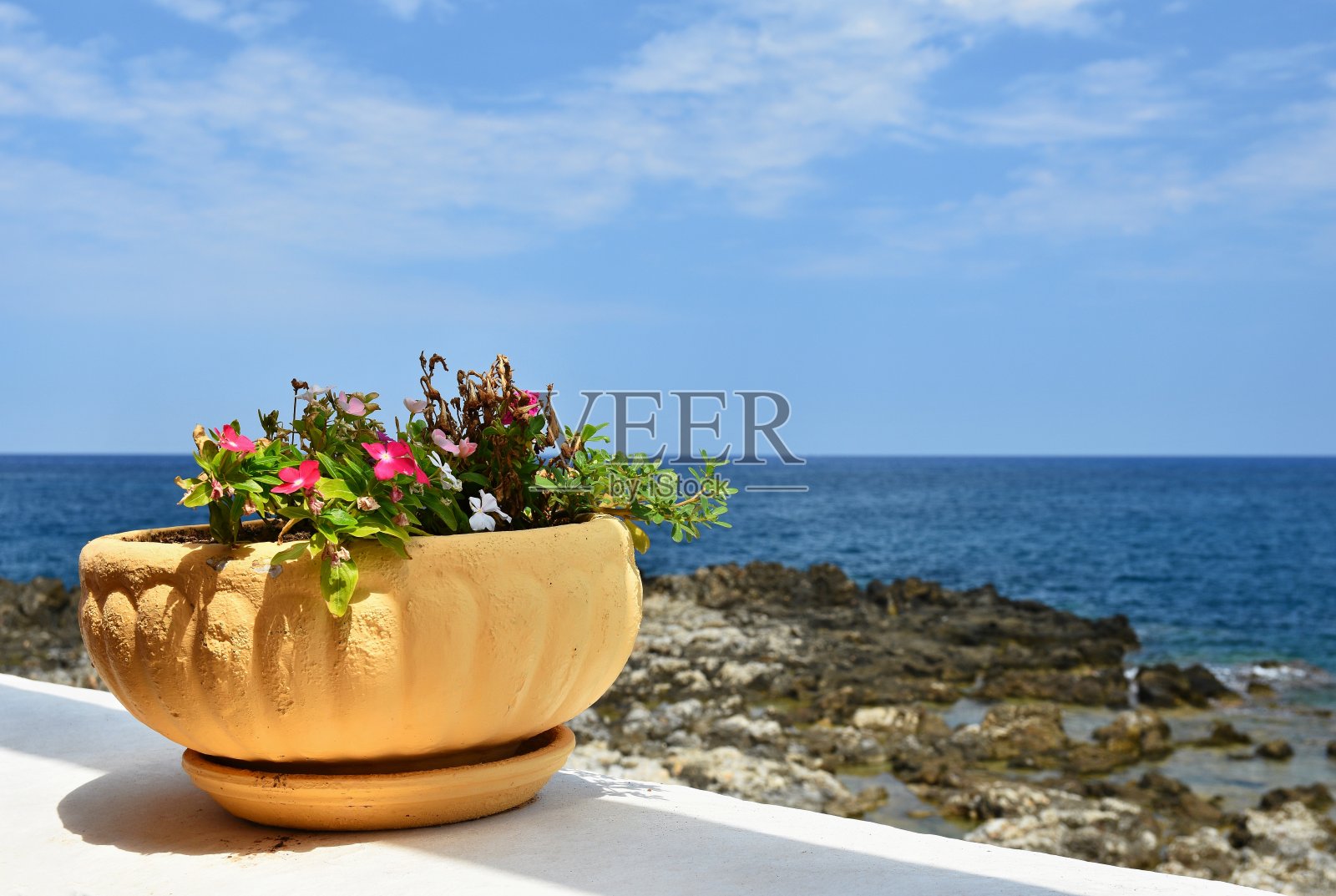 花盆里有大海和美丽的鲜花。具有夏季旅游和假期背景。照片摄影图片