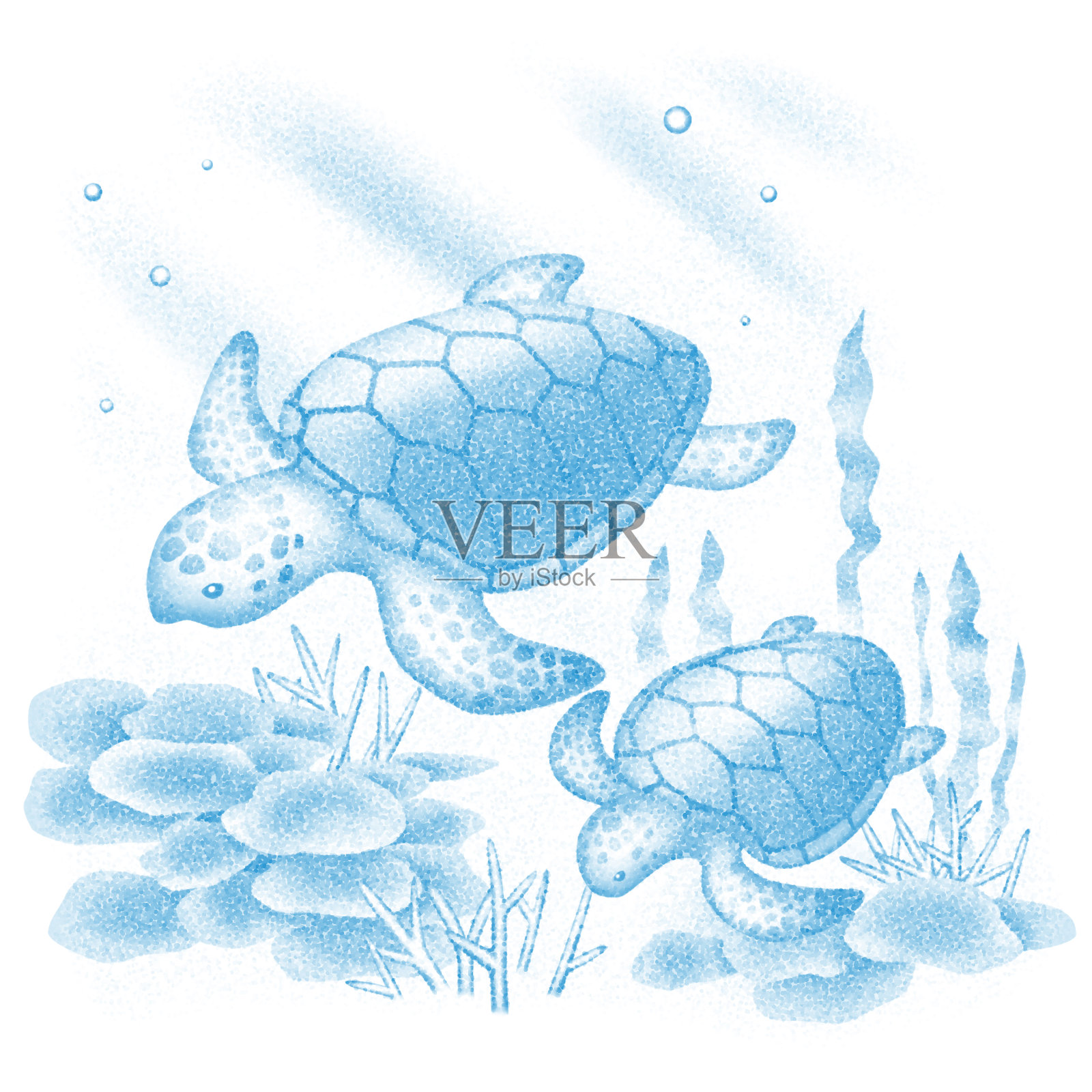 海龟的父母和孩子在海里游泳插画图片素材