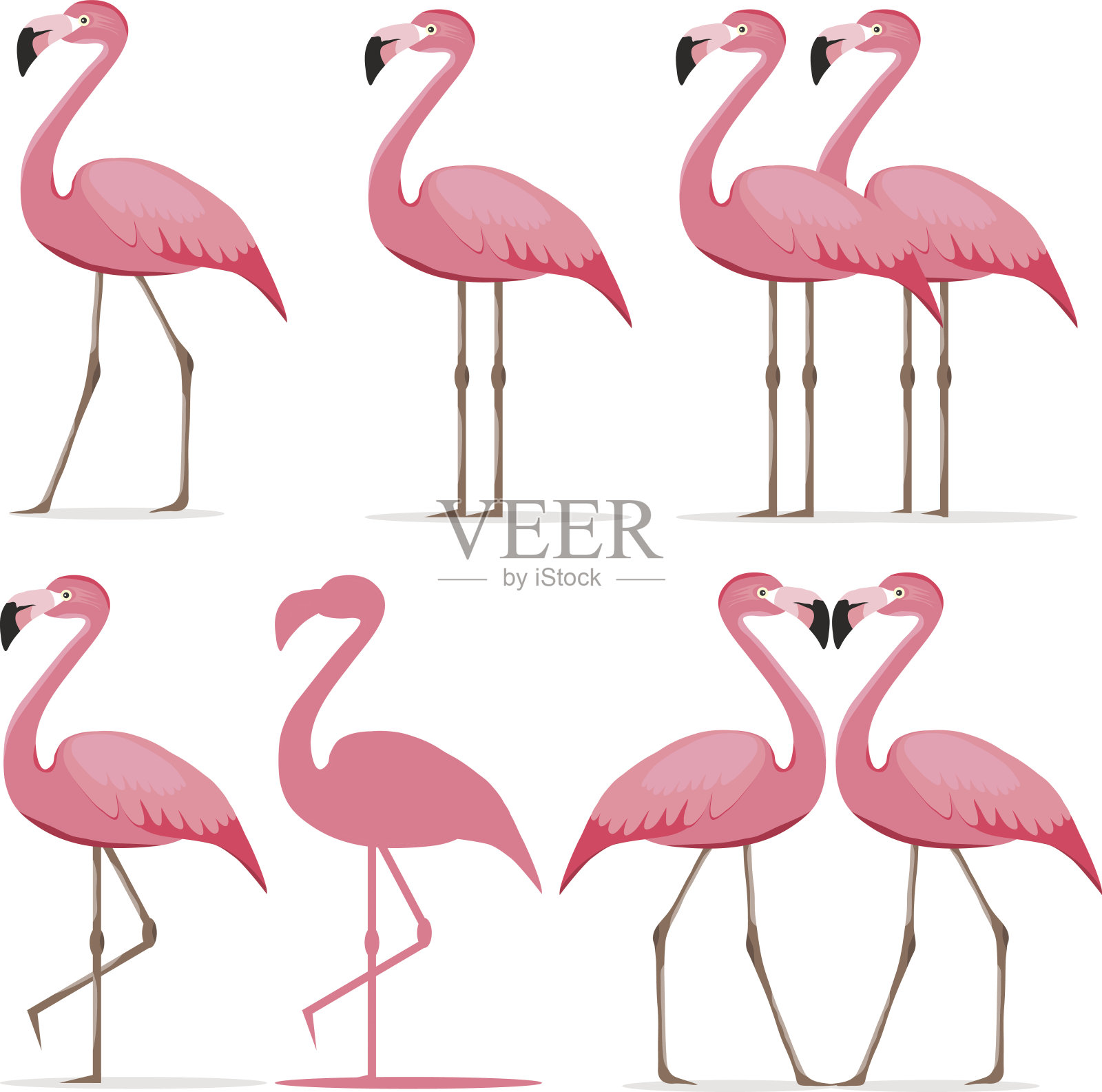 火烈鸟，一组粉红色的火烈鸟插画图片素材