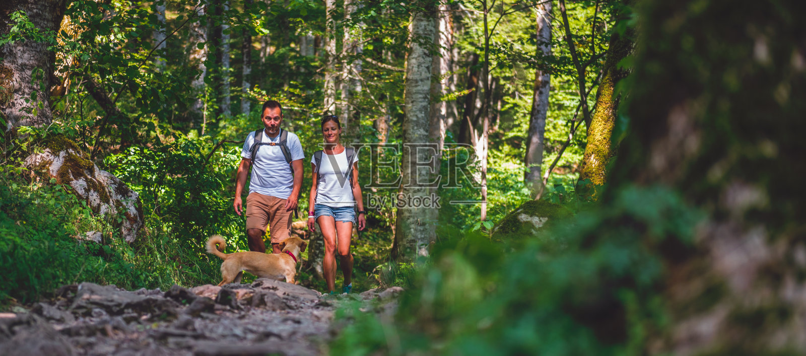 一对夫妇带着狗在森林里徒步旅行照片摄影图片
