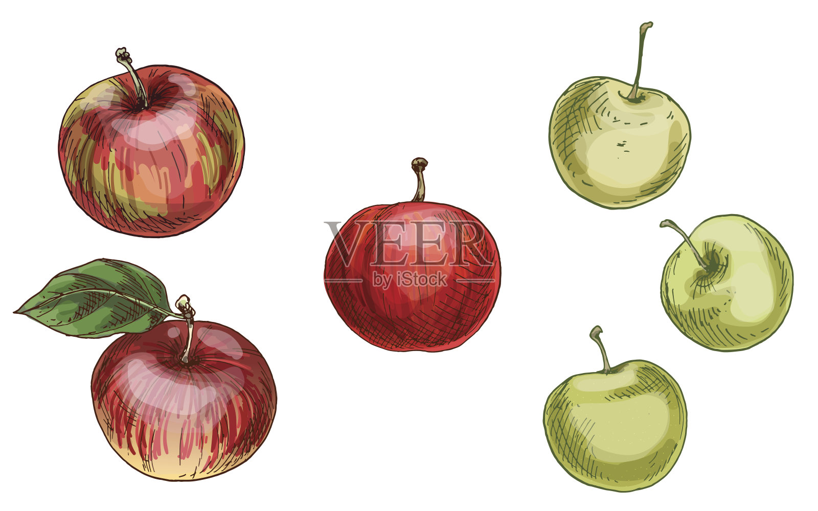 插图与不同的苹果，红和绿孤立在白色的背景。向量插画图片素材