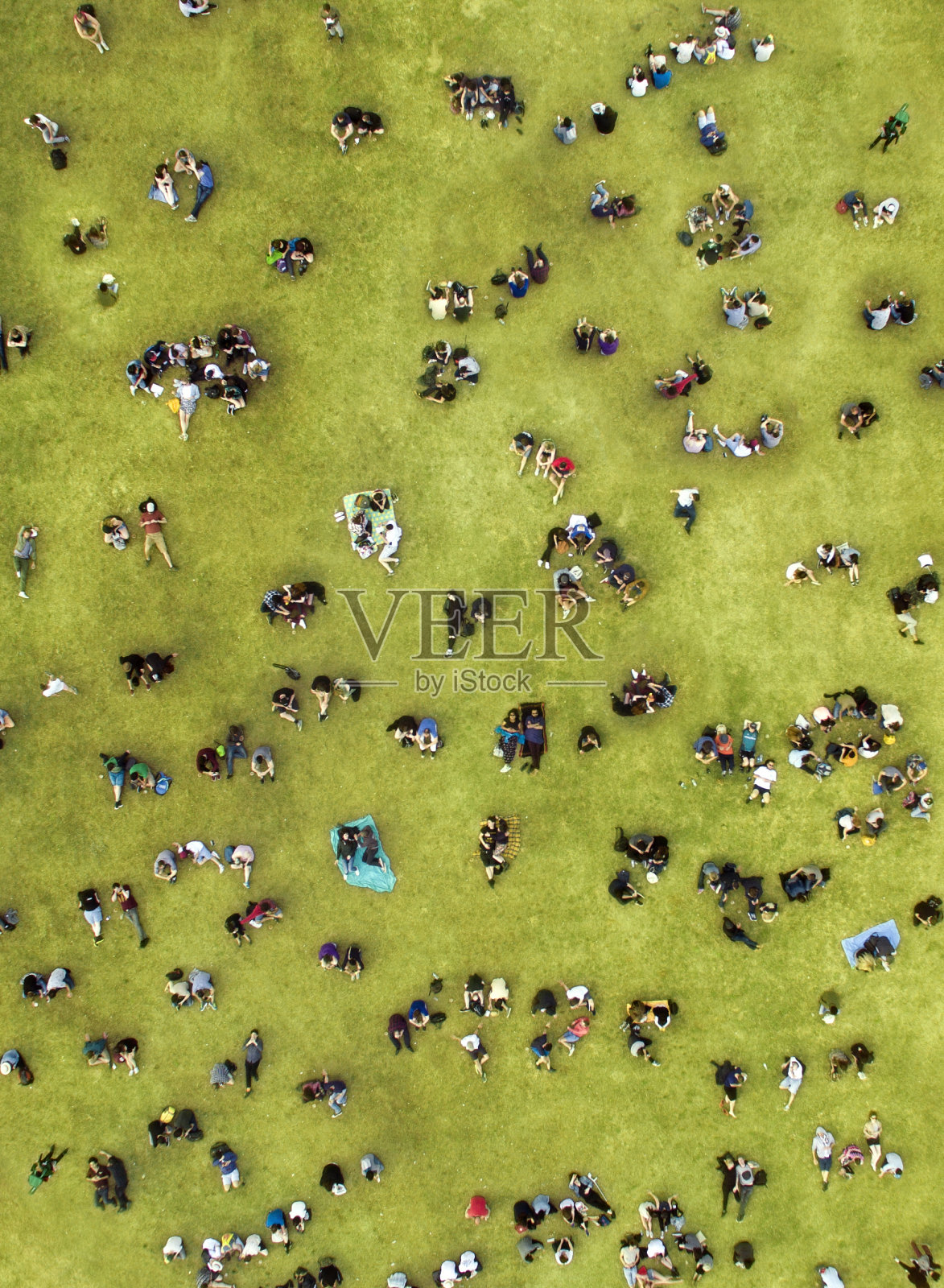人们在中央公园晒太阳照片摄影图片