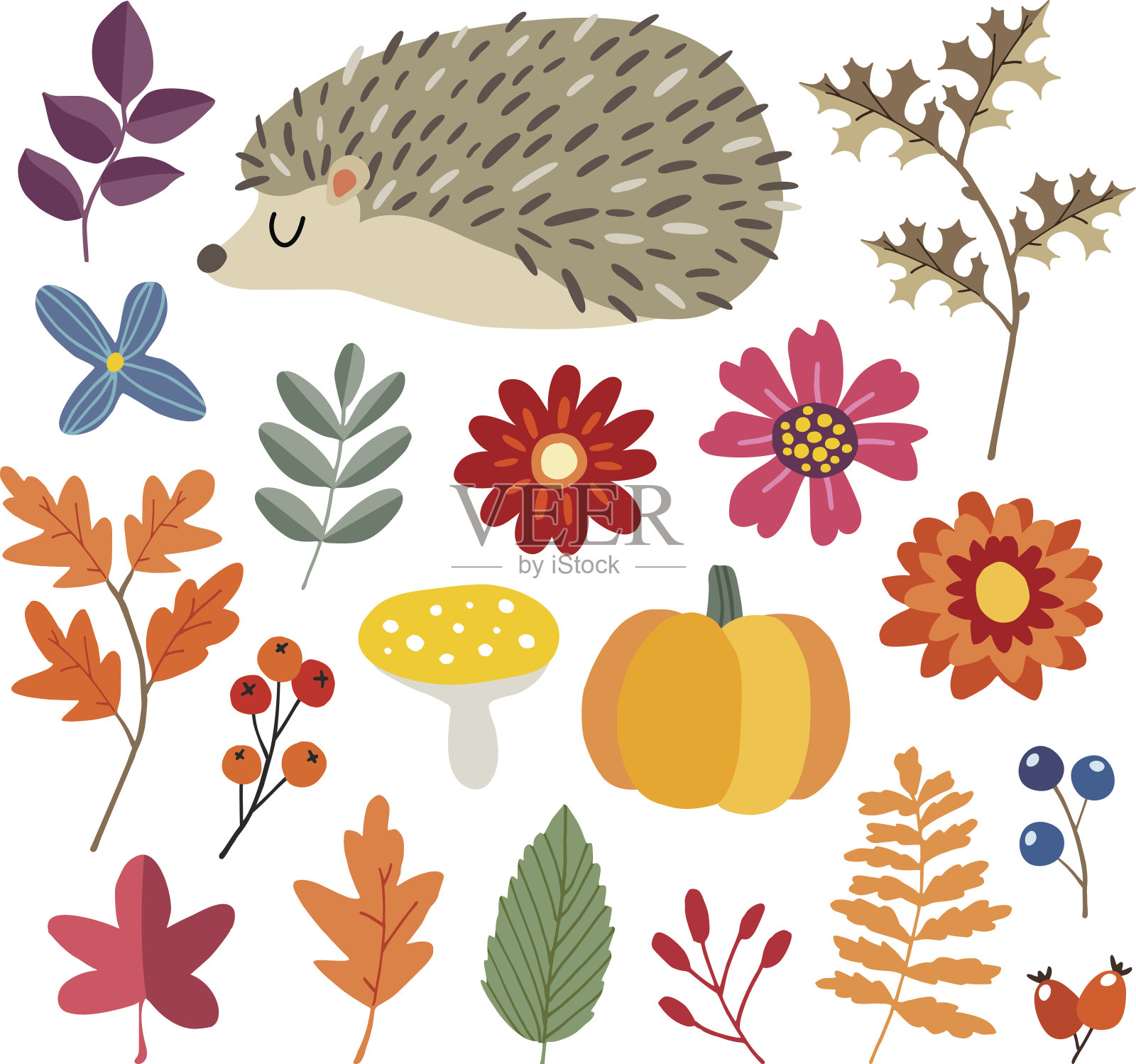 一套可爱的手绘秋季元素。刺猬，南瓜和各种花，浆果和树叶收集。秋天的概念。孤立的矢量插图，对象。平面设计插画图片素材