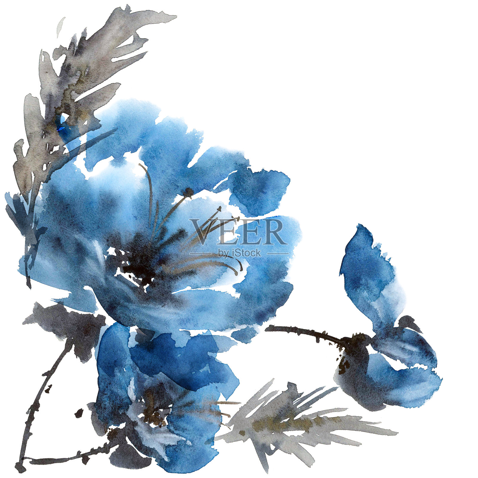 水彩牡丹花朵插画图片素材