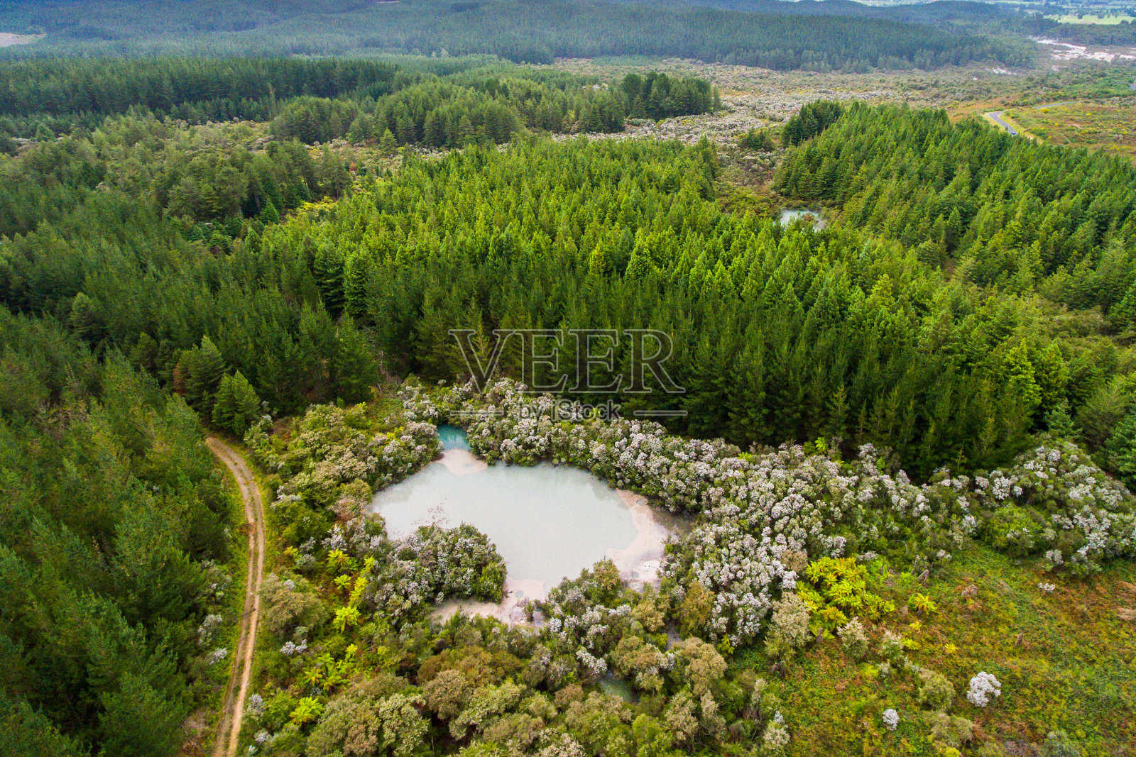 鸟瞰图热泥浆池，罗托鲁瓦，新西兰照片摄影图片