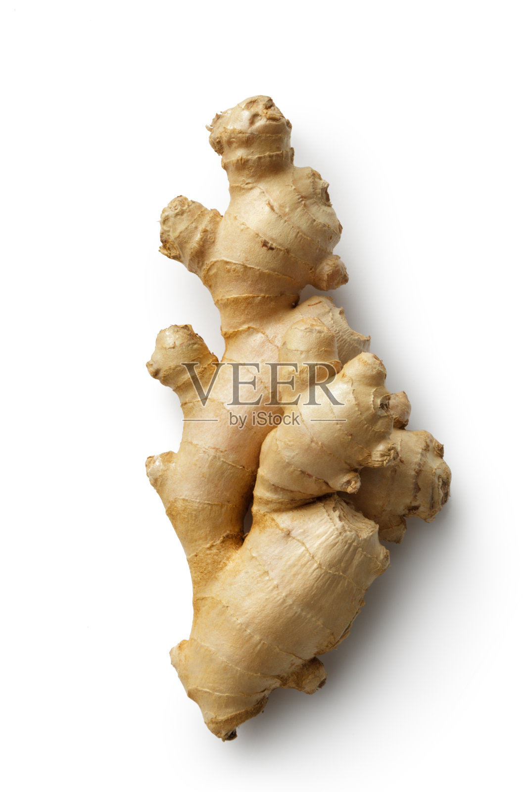 蔬菜:姜孤立在白色背景照片摄影图片