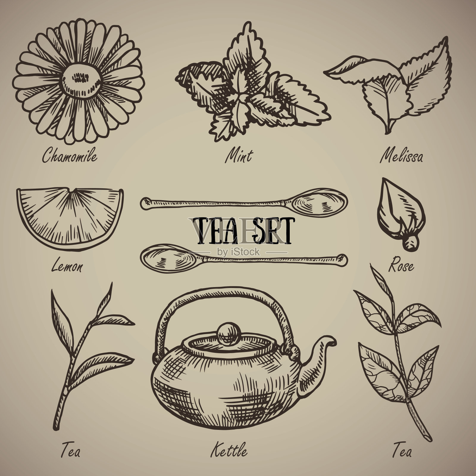 雕刻一套茶具:甘菊、香蜂草、薄荷、柠檬、汤匙、玫瑰、茶叶、水壶。一套茶醉鬼的古董。为餐厅雕刻菜单。矢量插图。插画图片素材