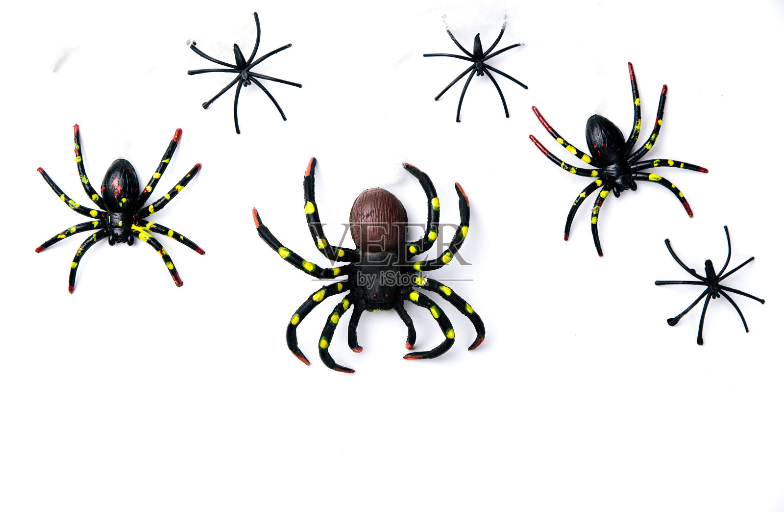 万圣节节日概念组的蜘蛛行走在蜘蛛网上的白色背景。准备好产品展示蒙太奇。照片摄影图片