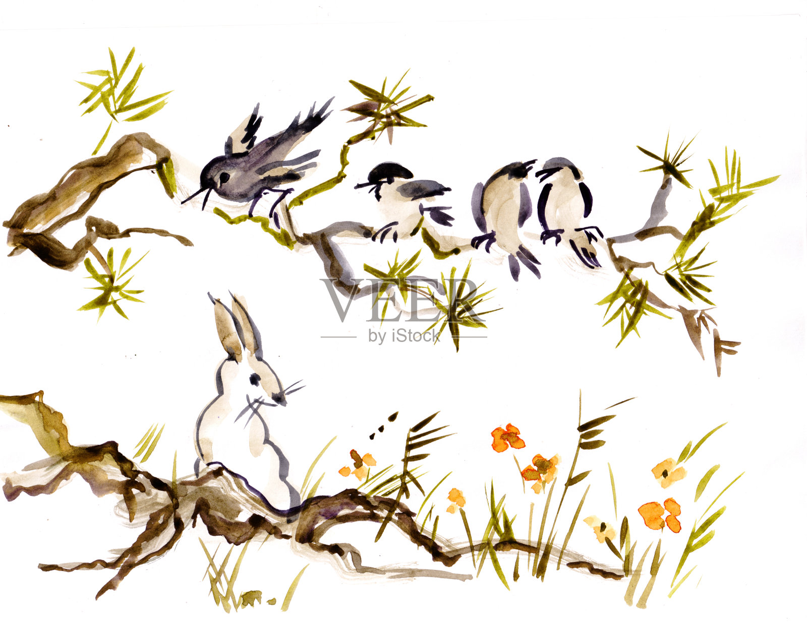 兔子和鸟类插画图片素材