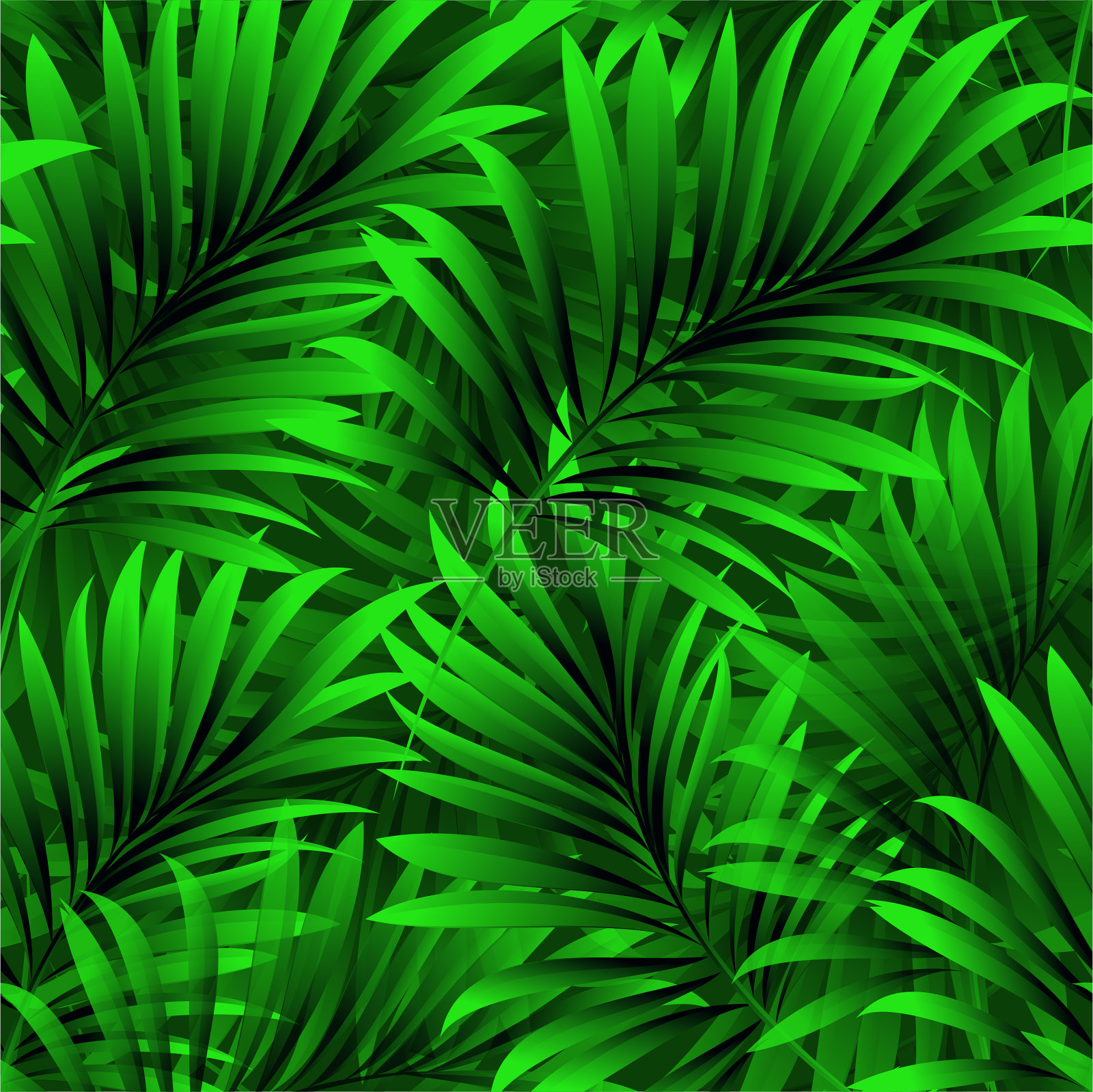 热带棕榈叶，丛林叶。矢量花图案背景。插画图片素材