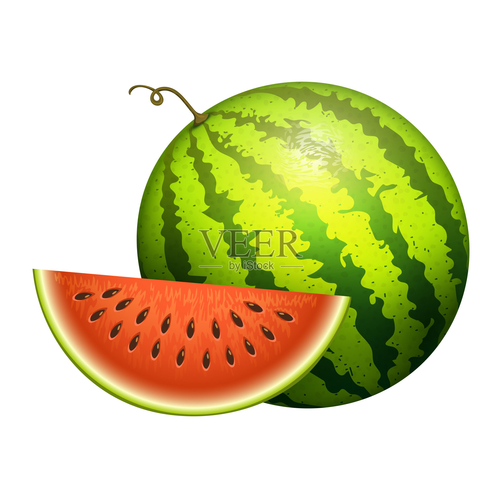 成熟条纹西瓜现实多汁的矢量插图切片绿色孤立成熟的甜瓜设计元素图片