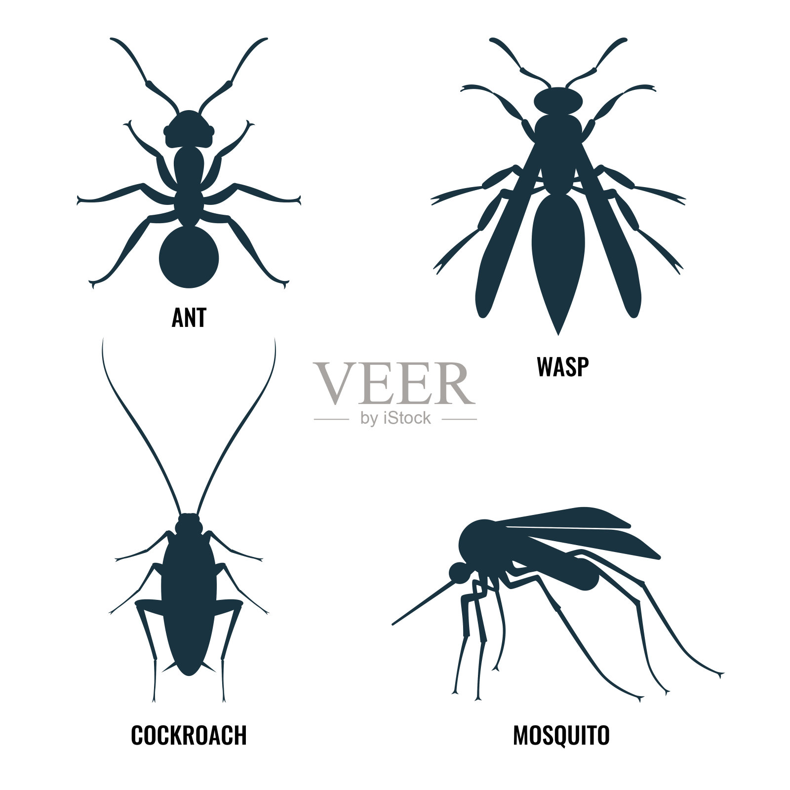 蚂蚁和黄蜂，蟑螂和蚊子媒介插图设计元素图片