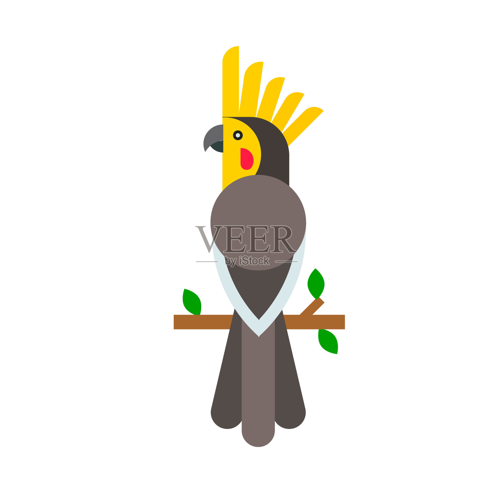 鹦鹉鸟类品种动物自然热带长尾小鹦鹉教育彩色宠物载体插图插画图片素材