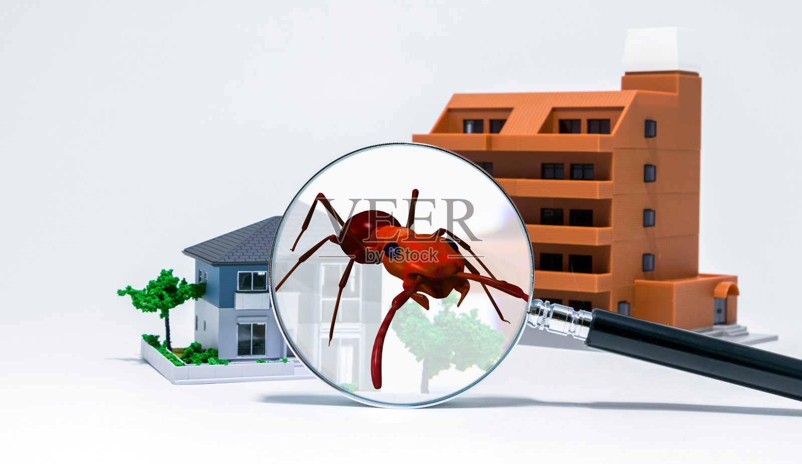 住所害虫控制概念。3D渲染火蚁。照片摄影图片
