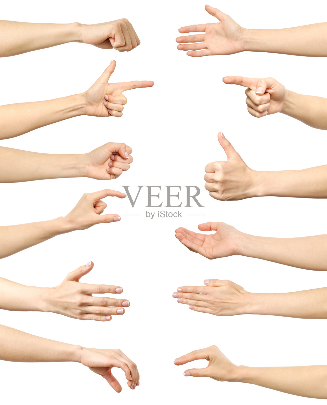 女性手势和标志收集孤立的白色背景。多幅图片的集合。系列的一部分照片摄影图片