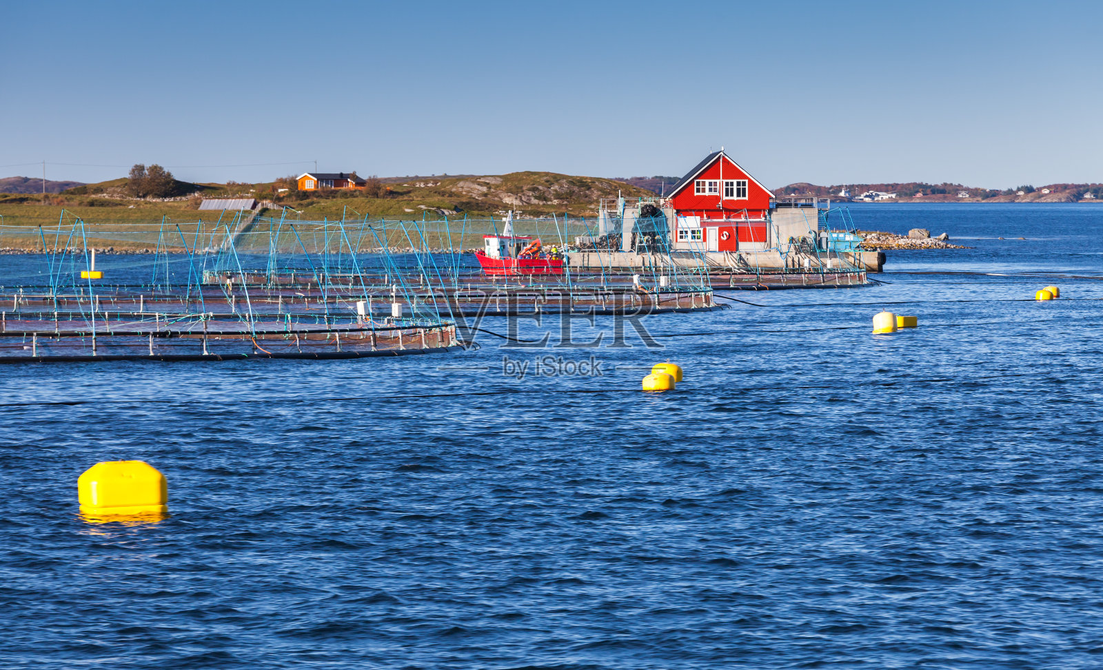 种植鲑鱼的挪威渔场照片摄影图片