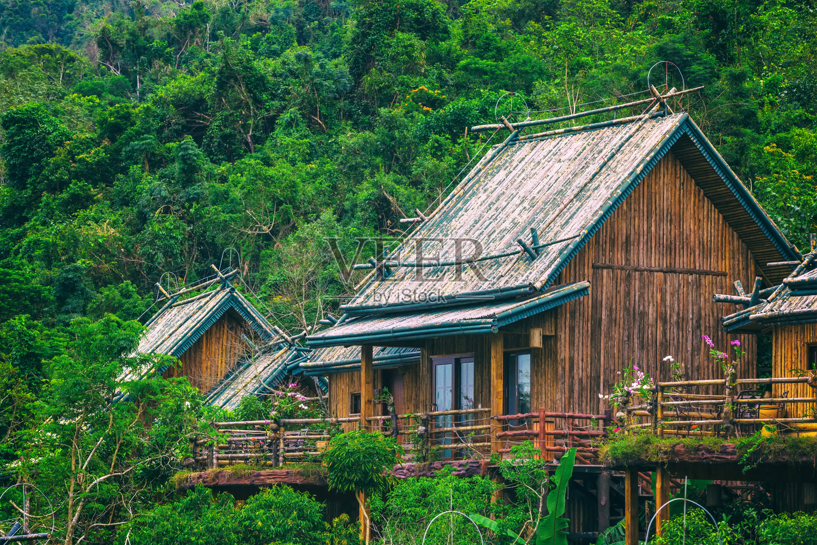 雨林中的一间竹屋。三亚里和苗寨。海南,中国。照片摄影图片
