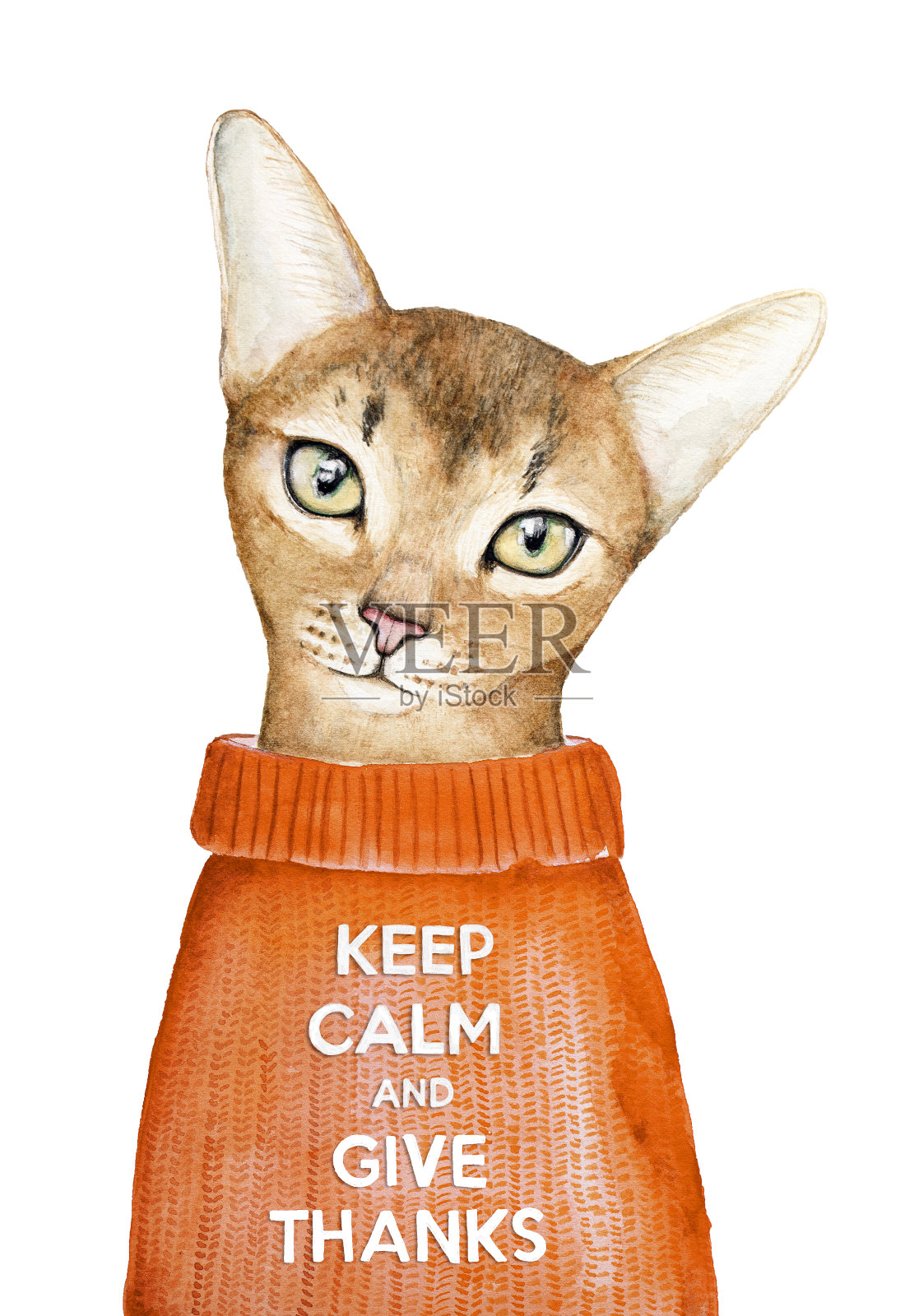 保持冷静和给予感谢的创意海报与一个可爱的阿比西尼亚猫的特写肖像。感恩节卡片，邀请，动力。插画图片素材