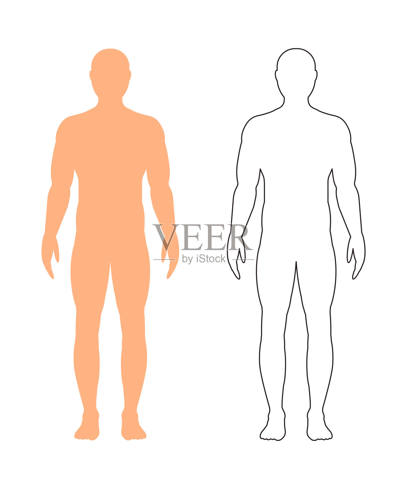 男性轮廓(轮廓)在白色背景，向量。设计元素图片