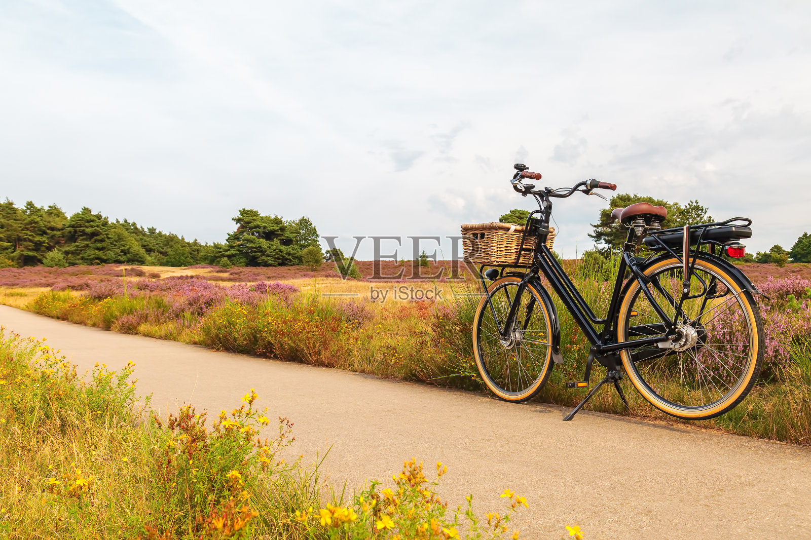 荷兰Veluwe国家公园的黑色电动载货自行车照片摄影图片