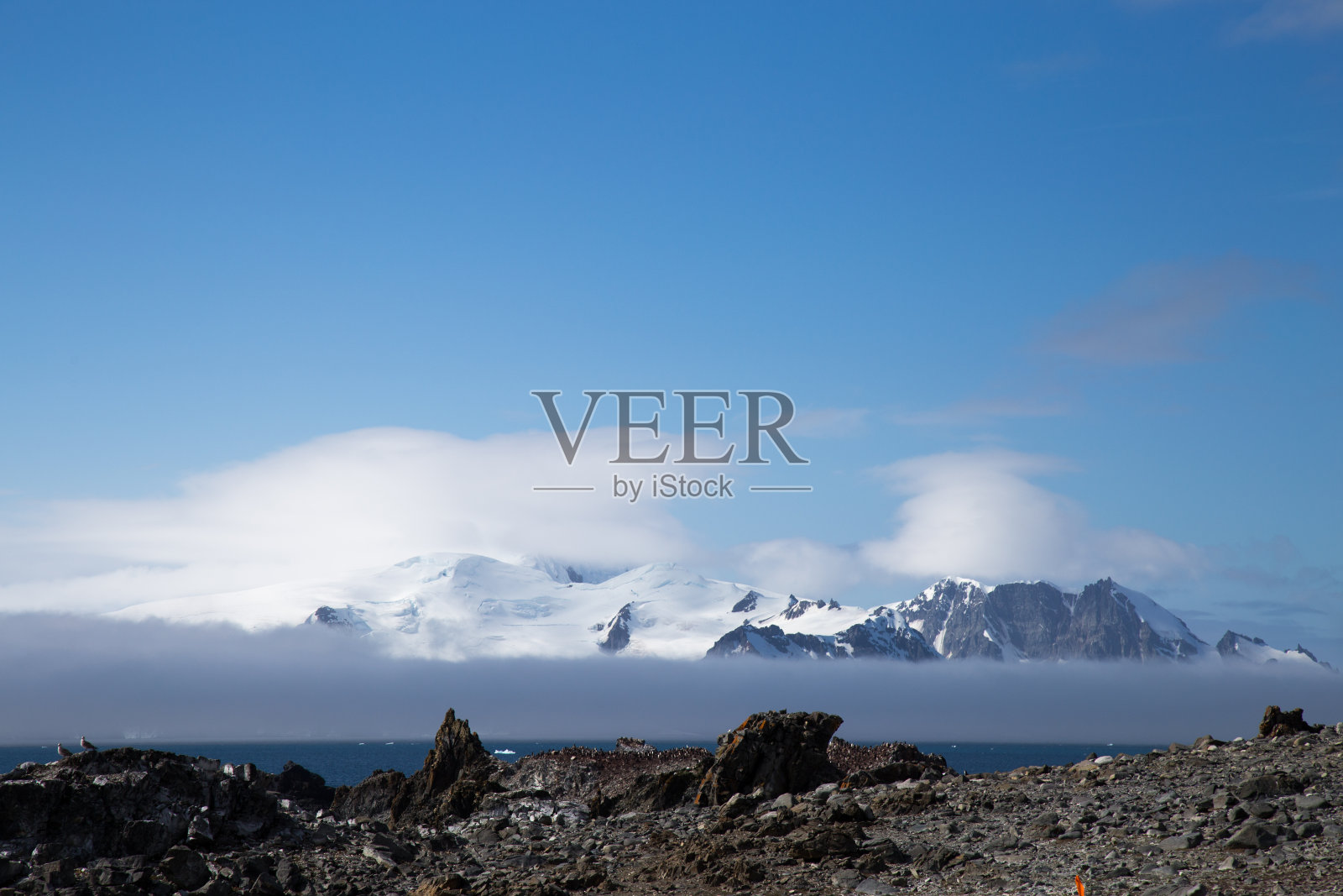南极洲南设得兰群岛山顶上的雪和冰川。照片摄影图片