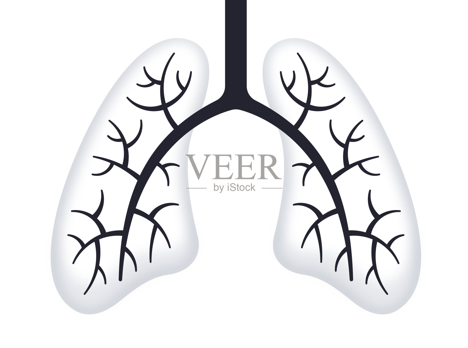 肺插画图片素材