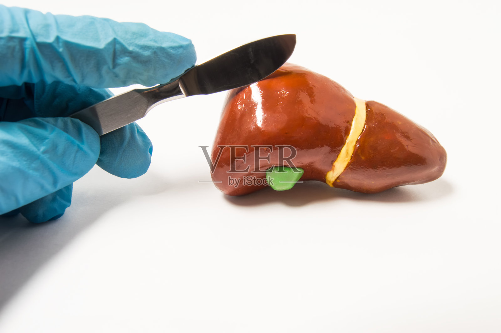 外科医生戴着蓝色乳胶手套的手拿着手术刀在人体肝脏解剖图上。象征癌症、包虫病等肝病手术治疗过程的概念。照片摄影图片