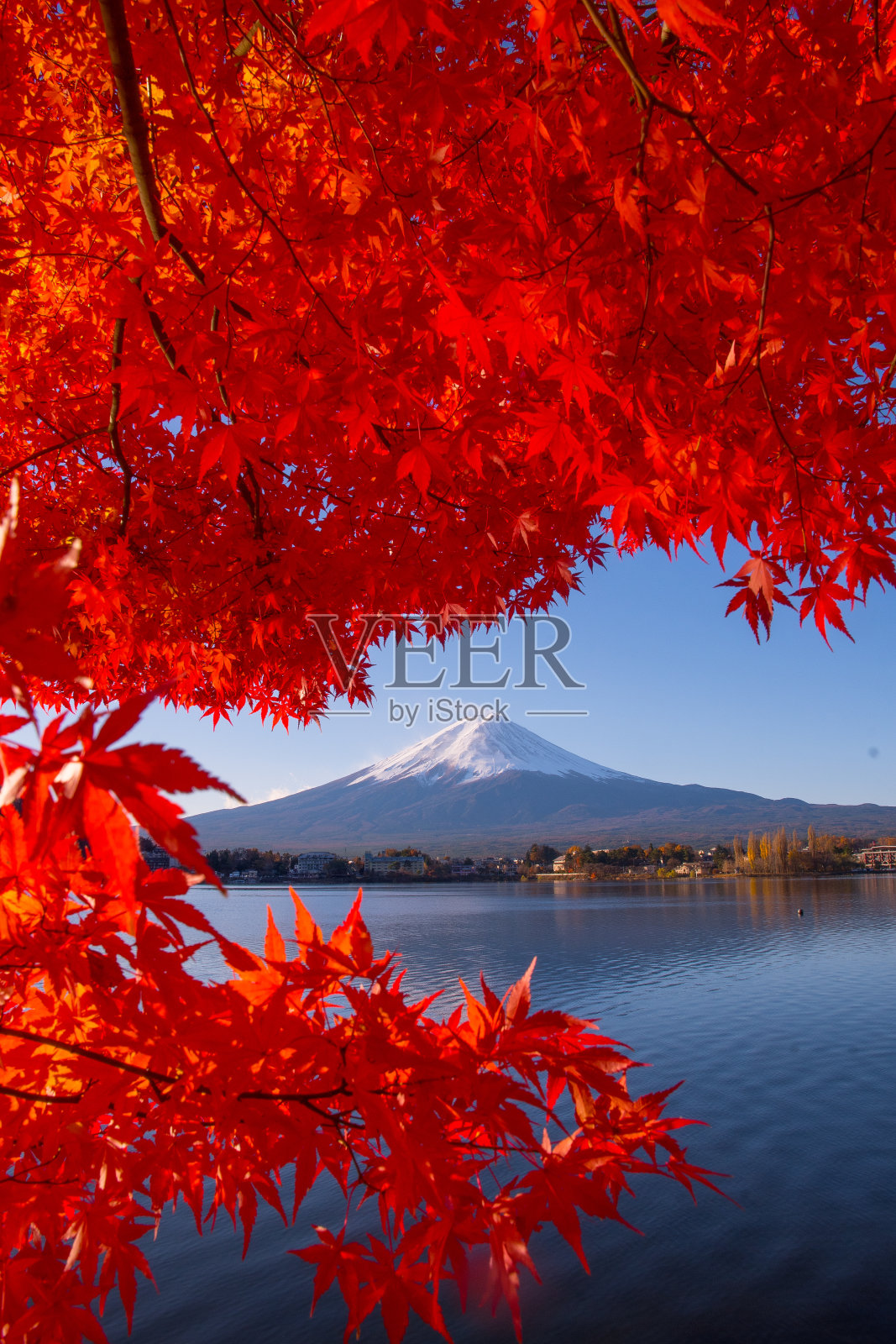 从川口湖眺望富士山的秋景照片摄影图片
