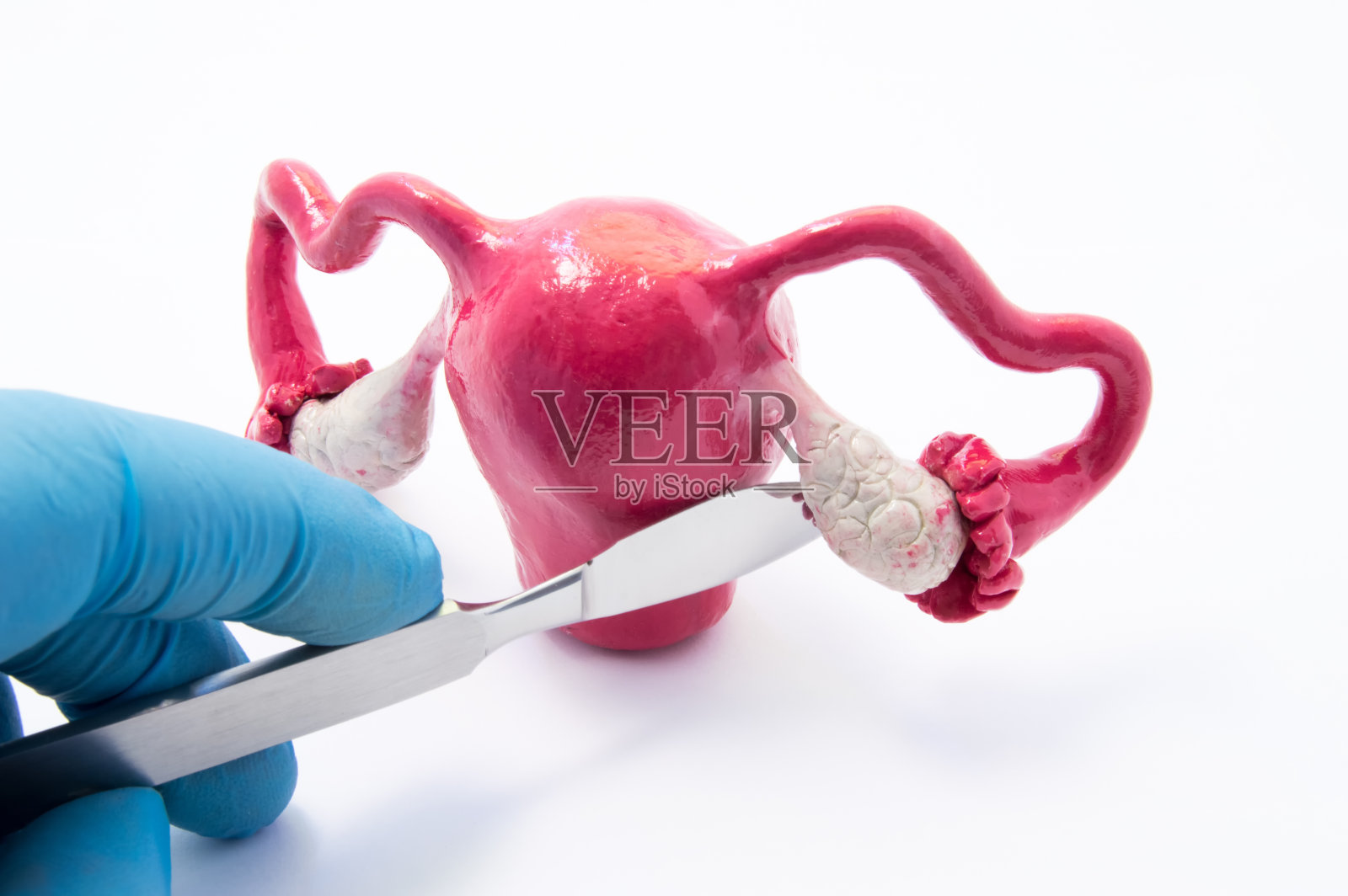 妇科卵巢外科概念。外科医生手拿手术刀靠近女性生殖器象征着手术干预，如癌症，切除卵巢和输卵管，囊肿和膀胱切除术作为治疗照片摄影图片