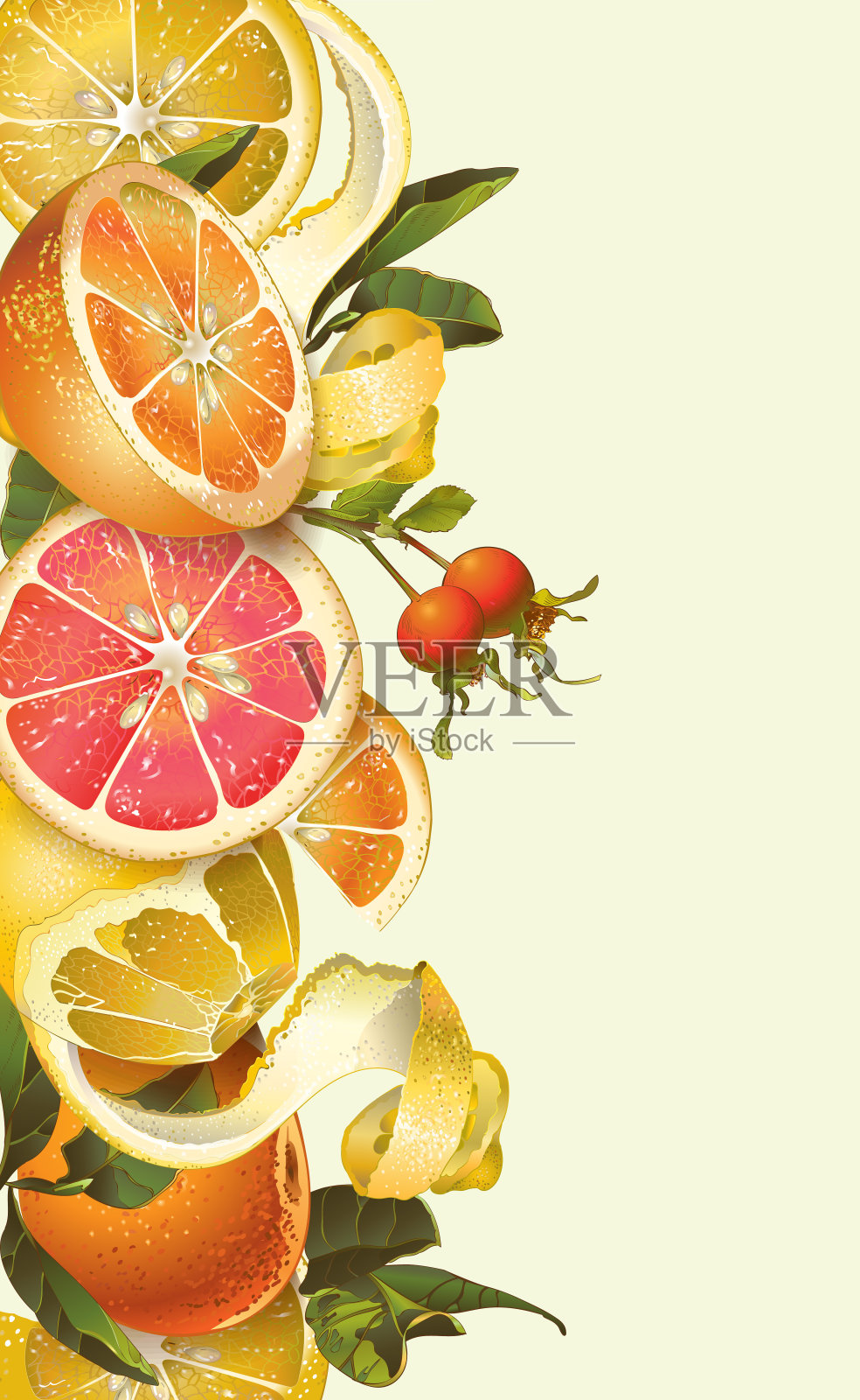 古董柑橘横幅插画图片素材