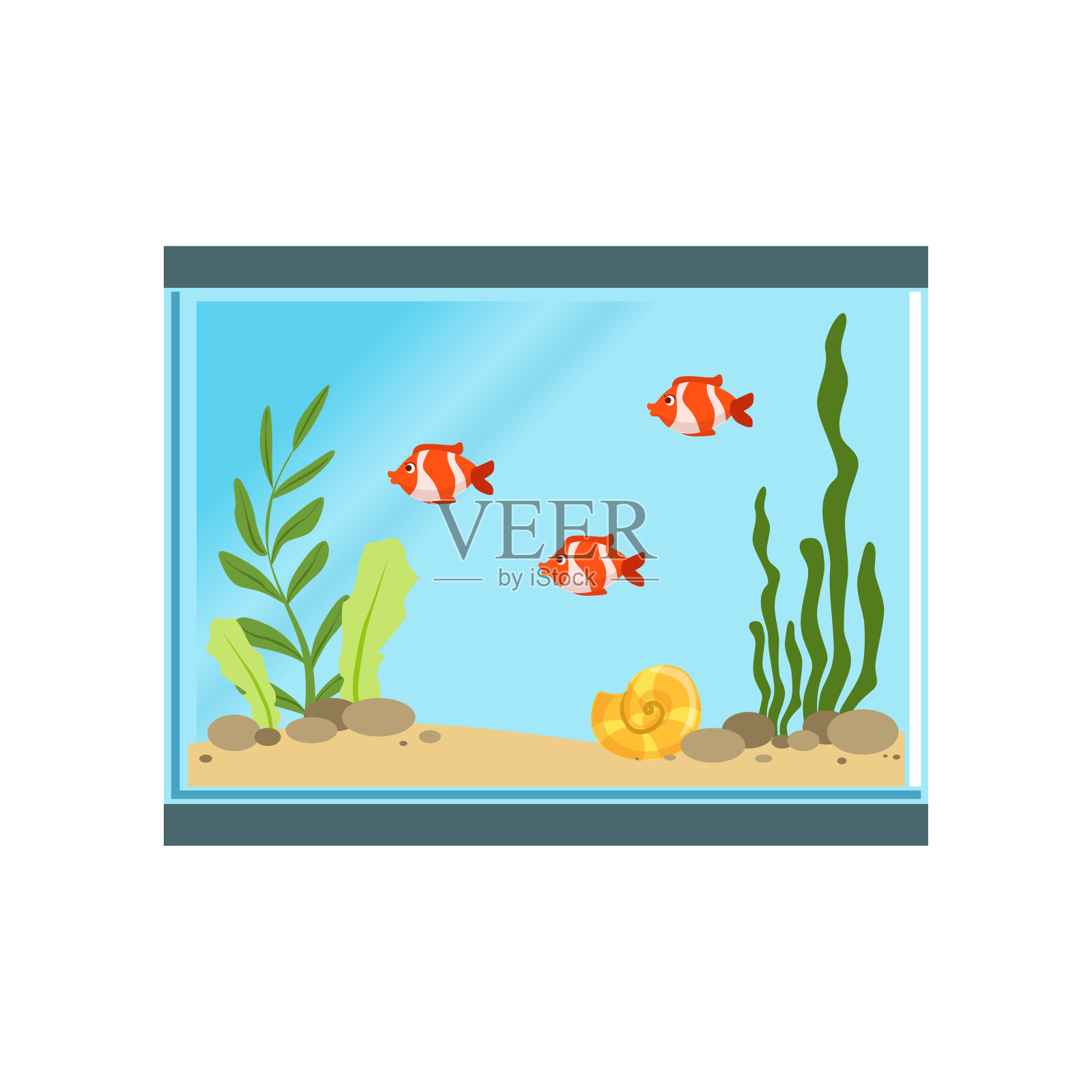 长方形玻璃鱼缸的图标，橙色的鱼，沙子，石头，贝壳和不同的藻类。海洋生物。分离平面向量设计插画图片素材