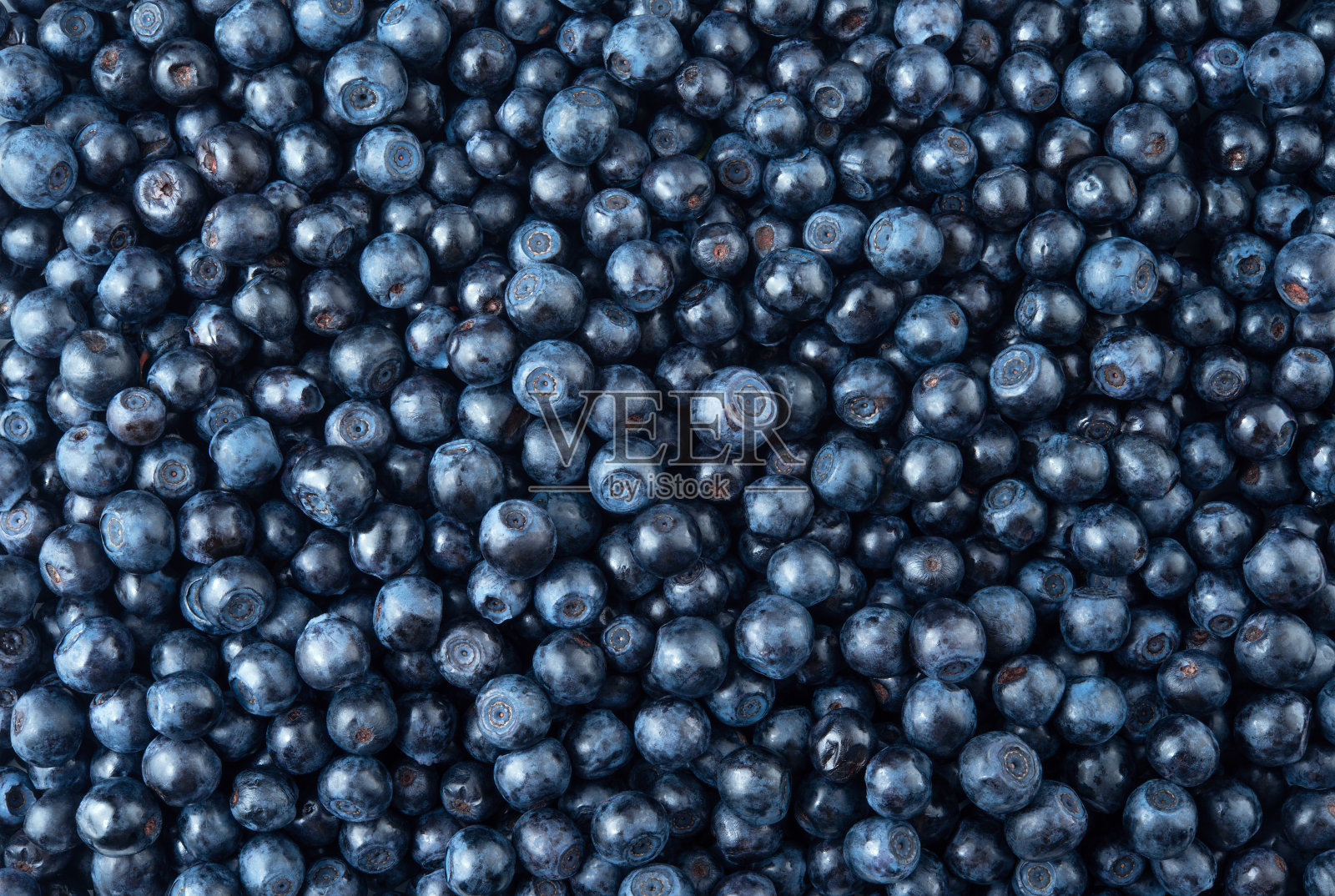 蓝莓。蓝莓的背景。食品的背景。前视图。照片摄影图片