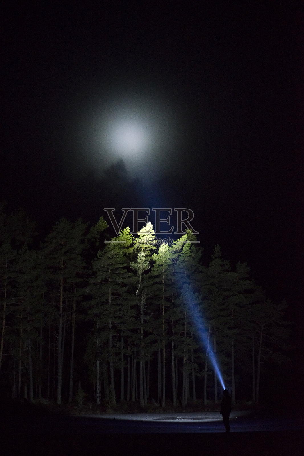 晚上站在户外的人用手电筒照亮天空和森林里的树木照片摄影图片