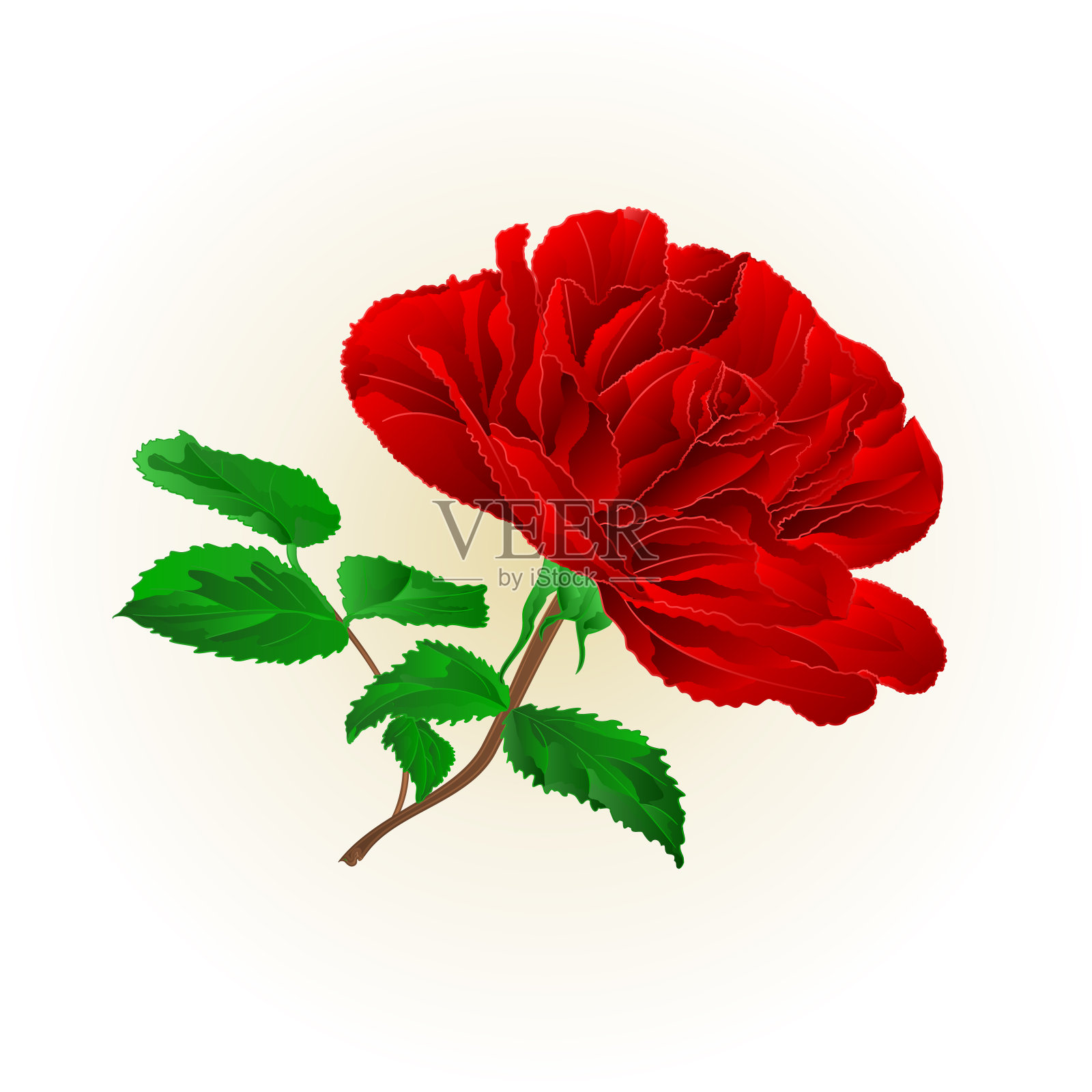 简单的红玫瑰茎与叶葡萄在白色背景矢量插图可编辑插画图片素材