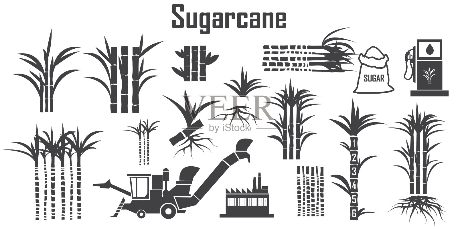 甘蔗图标向量。设计元素图片