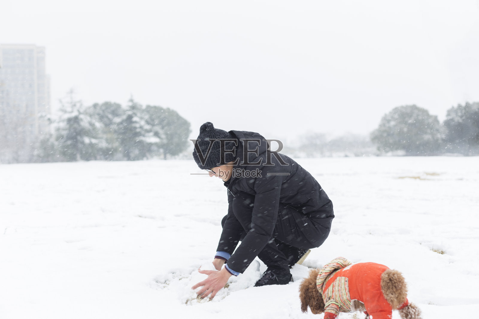 男人和宠物狗在雪地上滚雪球照片摄影图片