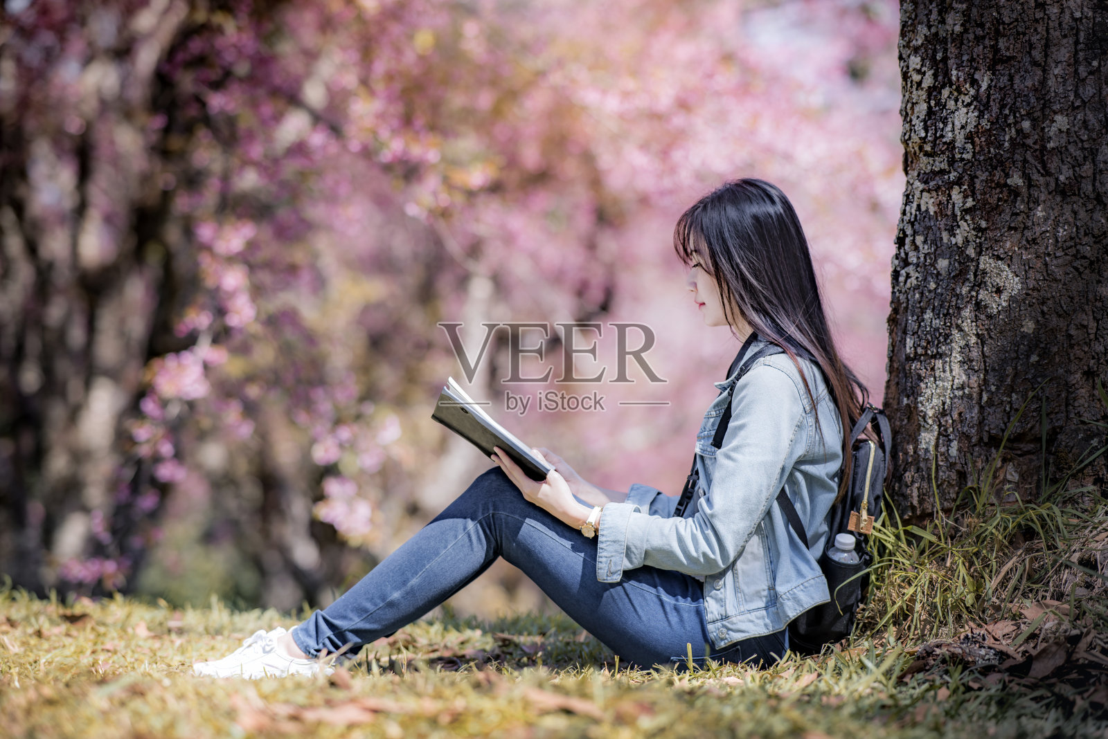 美丽的年轻女子坐在一棵大树下，在阳光明媚的春天在公园樱花盛开的季节，读一本书照片摄影图片