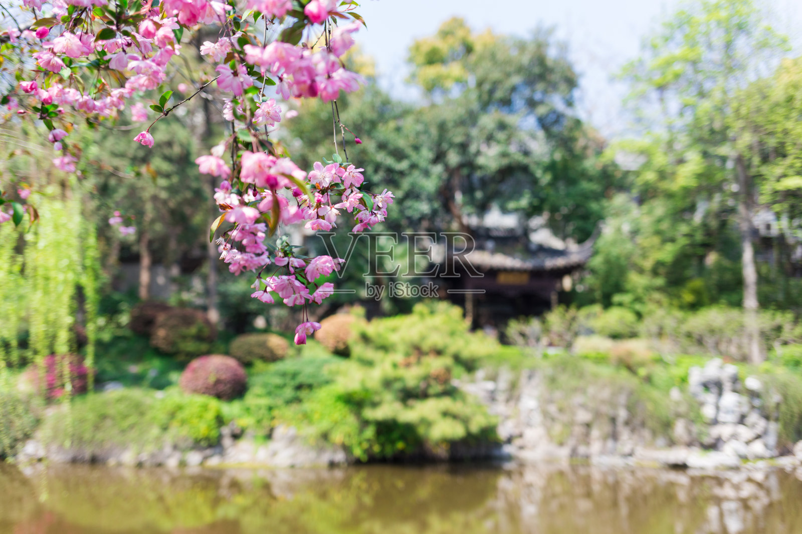 中式园林春色照片摄影图片